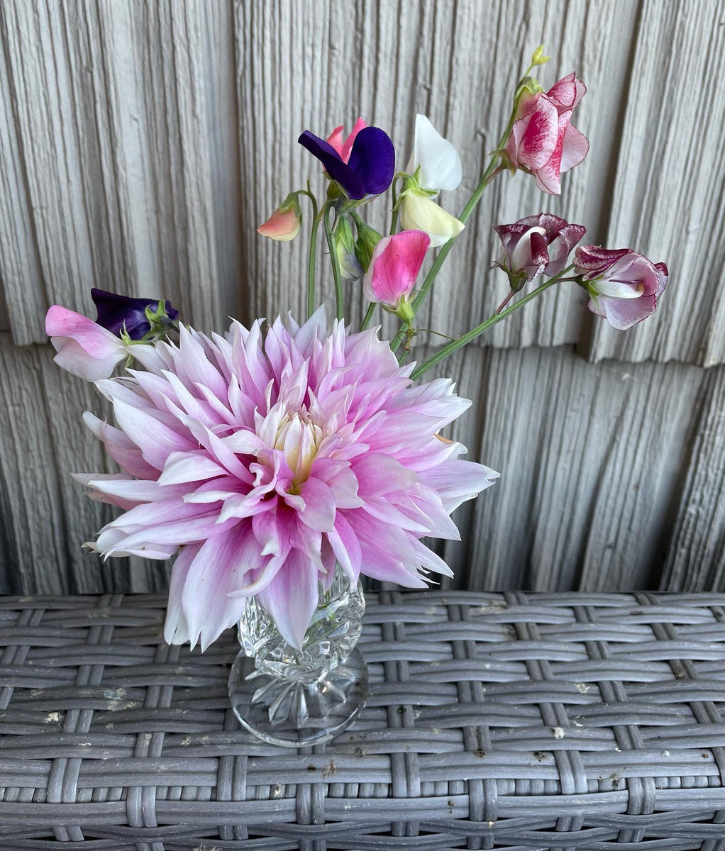 "Petite" Level Floral Subscription Cathy's Flowers N Treasures