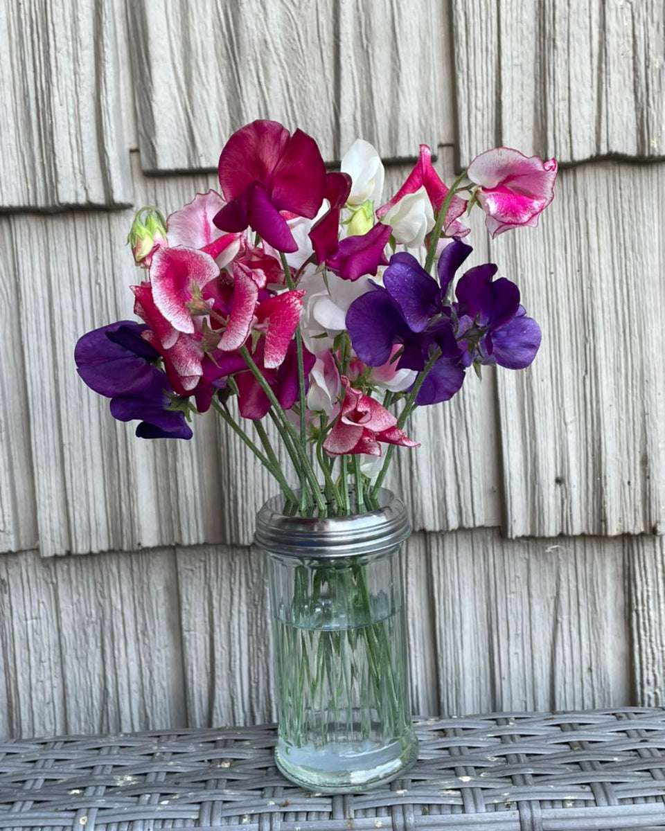 "Petite" Level Floral Subscription Cathy's Flowers N Treasures