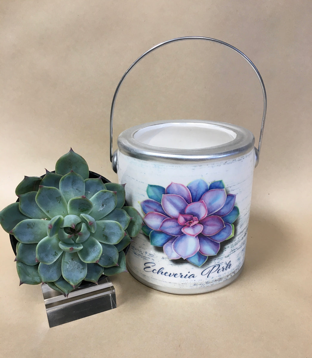 Plant Double Wick Soy Candle Cathy's Flowers N Treasures