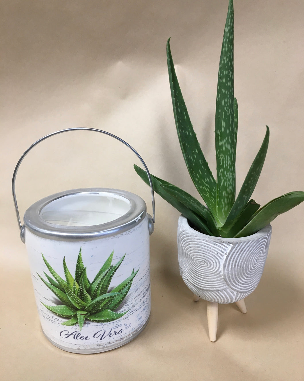 Plant Double Wick Soy Candle