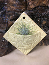 Load image into Gallery viewer, Handmade Pottery Airplant Holders
