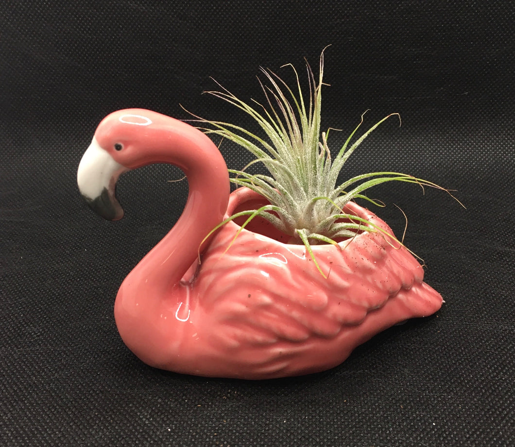 Mini Flamingo Planter